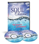 Soul Cleanse: The Journey to Wellness (Mp3) - Billy Burke World Outreach 